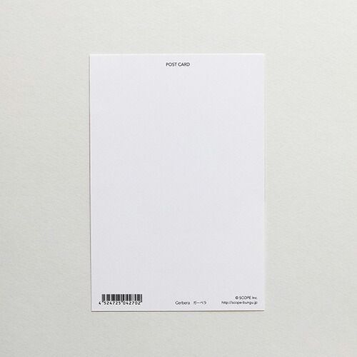 まとめ スコープ カード ポストカード Flower ガーベラ 04270 ×60セット