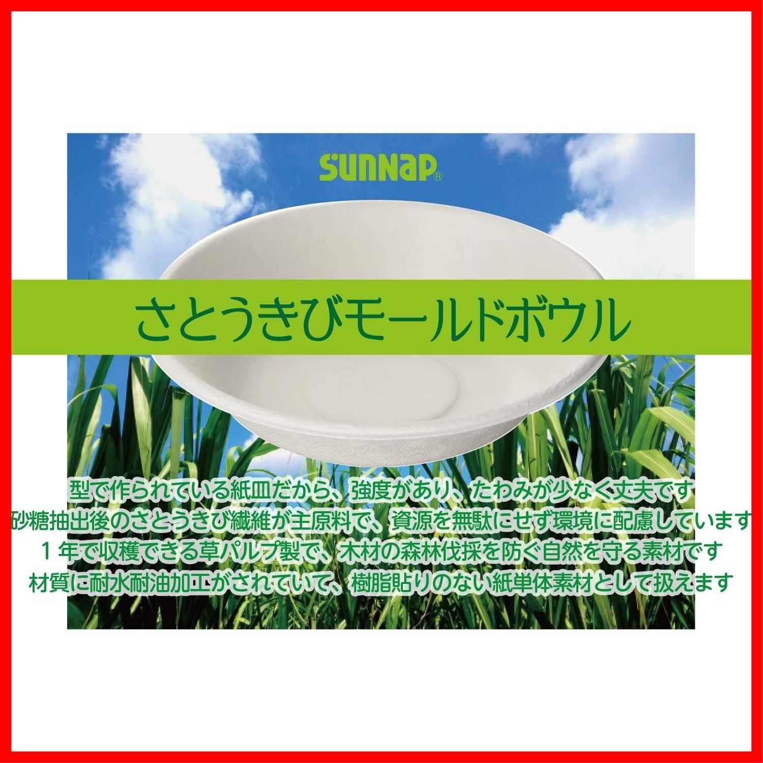 50枚入り
