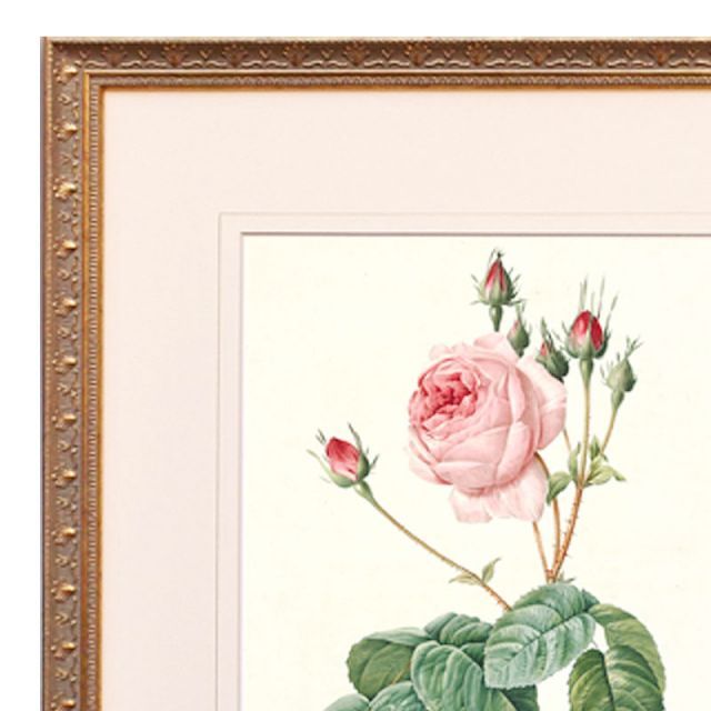 絵画 インテリア ルドゥーテ ローズ 絵額 複製画 『 バラ図譜 』 ロサ