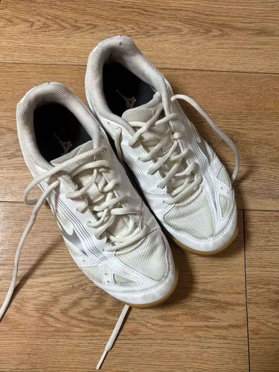 Mizuno ミズノ 台風 スピード スポーツ大学入試 240