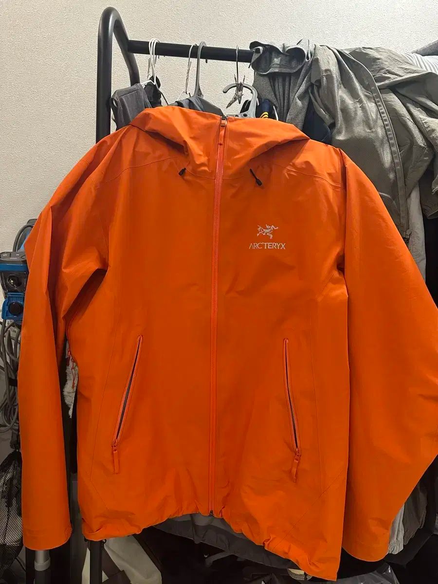 ARC TERYX アークテリクス ベータ フェノム L サイズ 販売