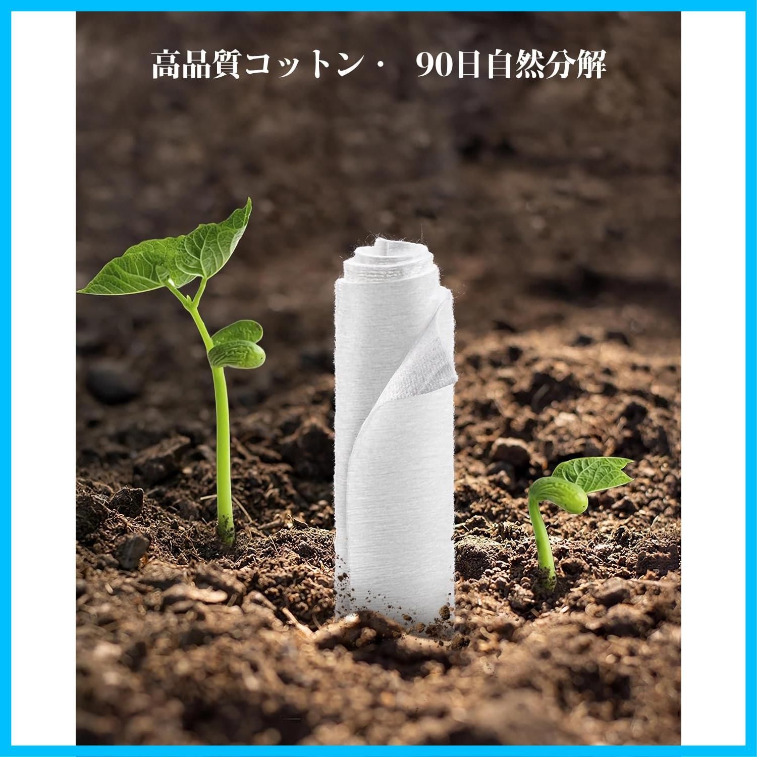 敏感肌
