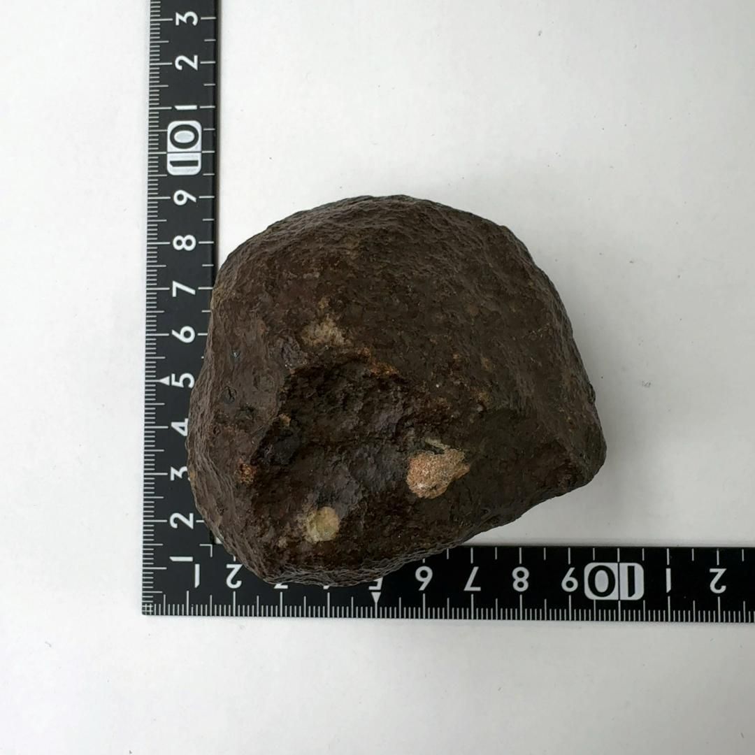 E24395】 石質隕石 普通コンドライト 隕石 Condrite NWA869 メテオライト 天然石 パワーストーン - メルカリ