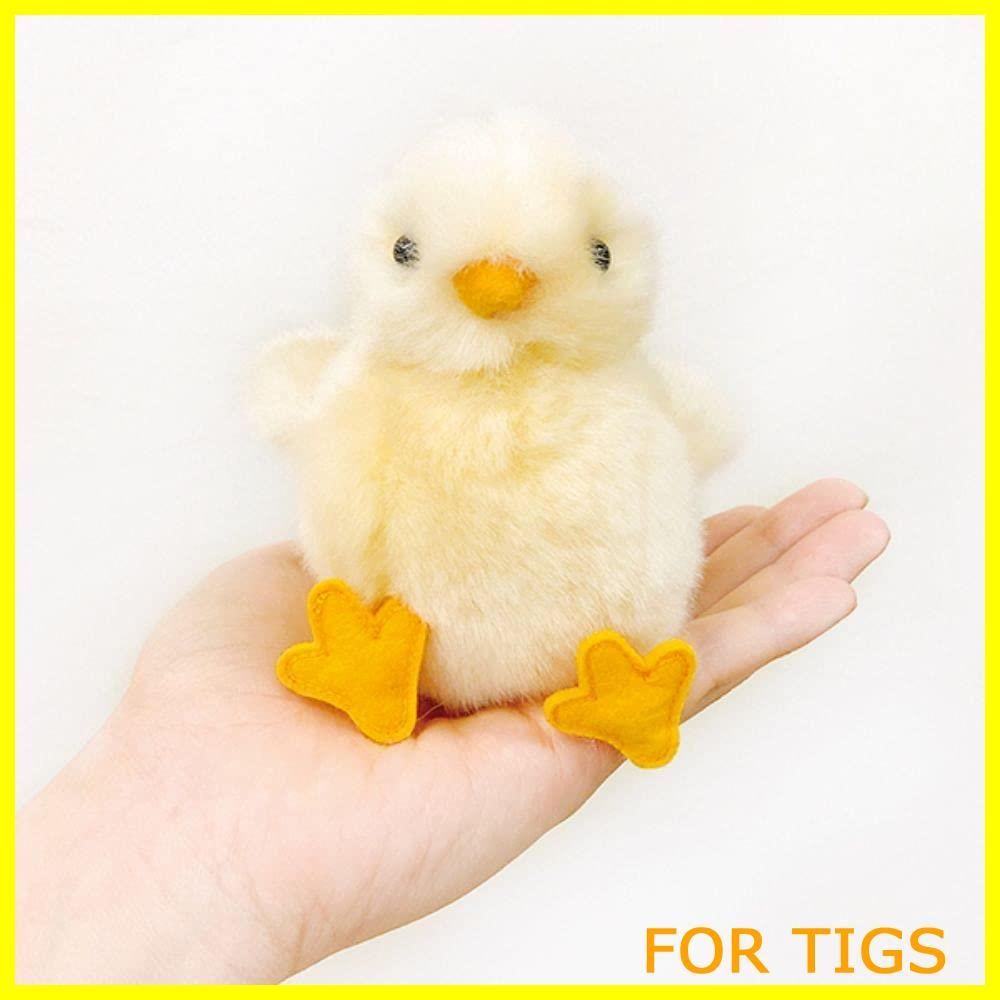 Johnny&#39;s - めだま Brooks Brothers eYe COMME des GARCONS JUNYA WATANABE MAN