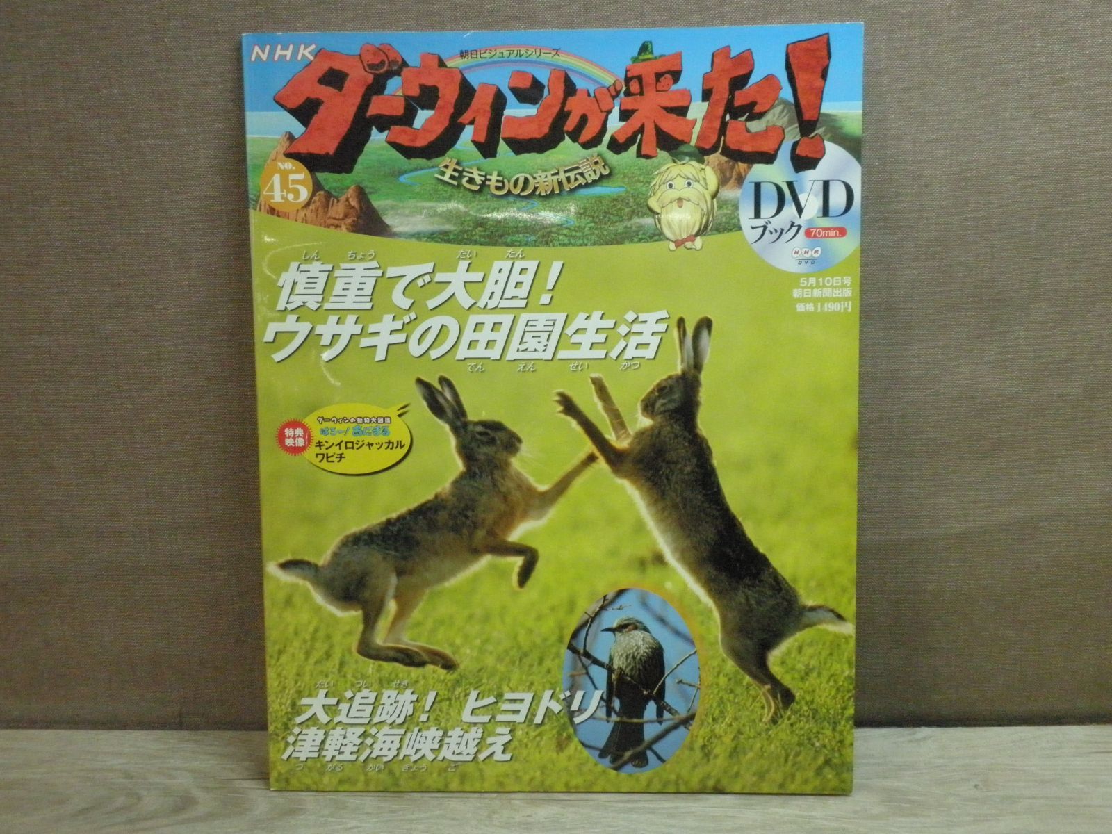45巻 NHKダーウィンが来た！DVDブック 朝日新聞出版 【公式通販】