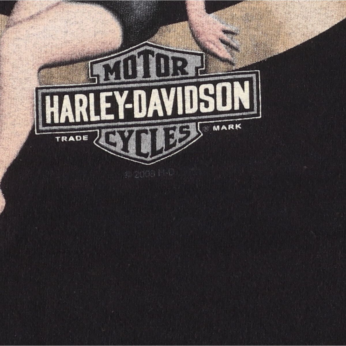 00年代 ハーレーダビッドソン 古着 Tシャツ イーグル柄 XL 古着 00年代 ハーレーダビッドソン Harley-Davidson 鷲柄
