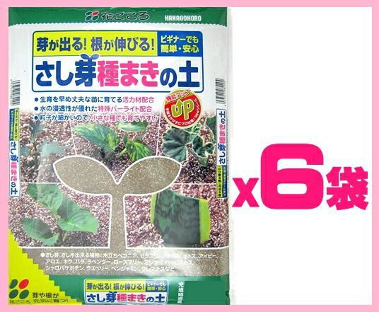 種まきの土