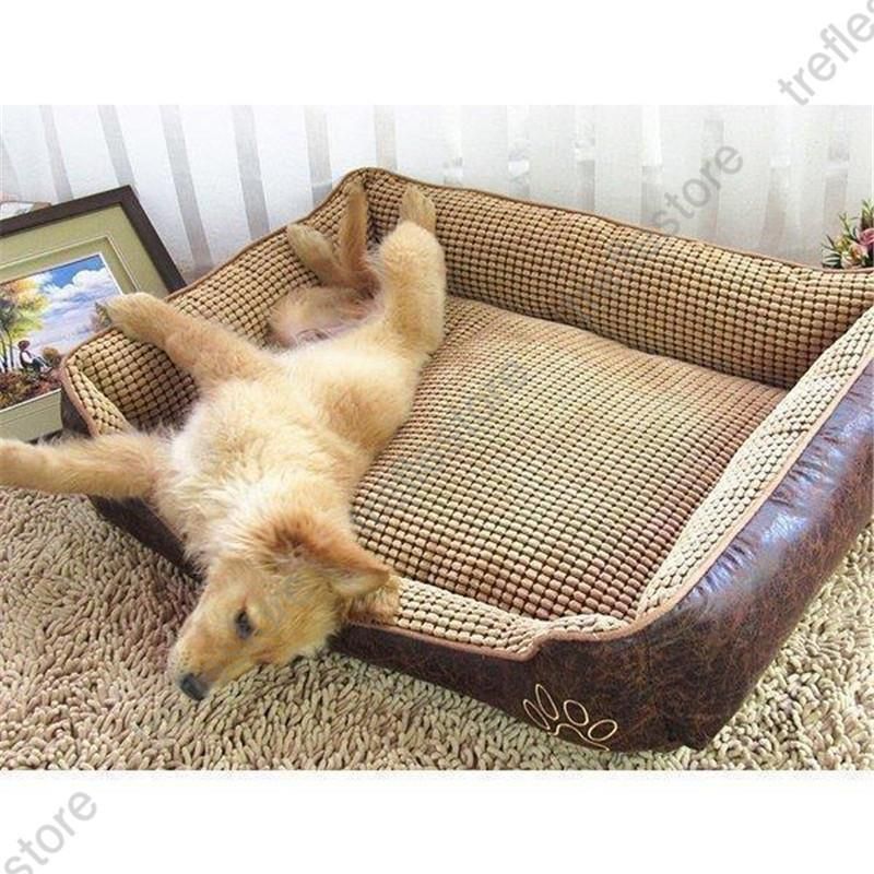 小型犬 大型犬