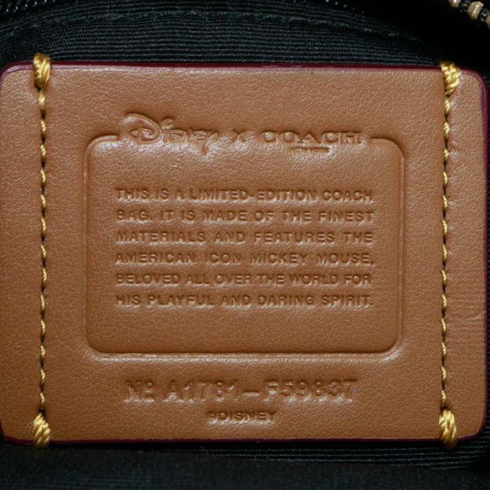 コーチ COACH ミニチャーリー バックパック グラブタンレザー