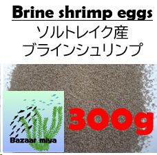ソルトレイク産ブラインシュリンプ300g - メルカリ
