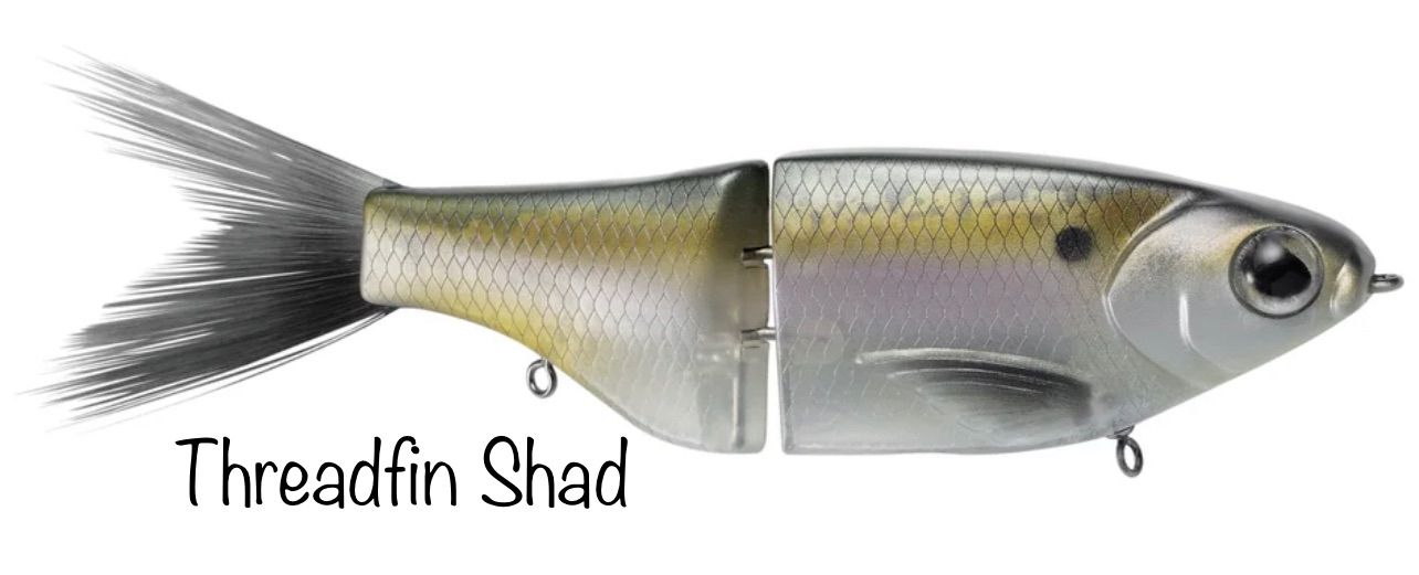 【24時間時間以内発送】 SPRO チャドシャッド180 美品 全6色】スプロ チャドシャッド 180 SPRO : バックラッシュYahoo