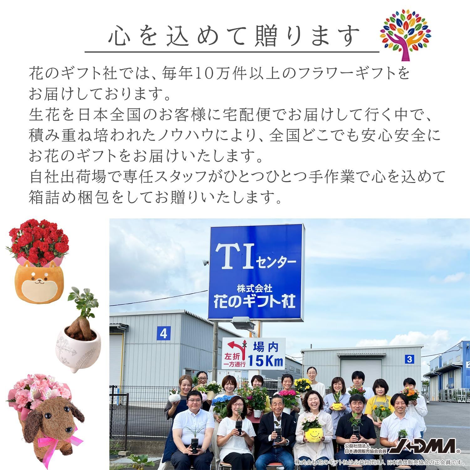 パキラの木 ミニ