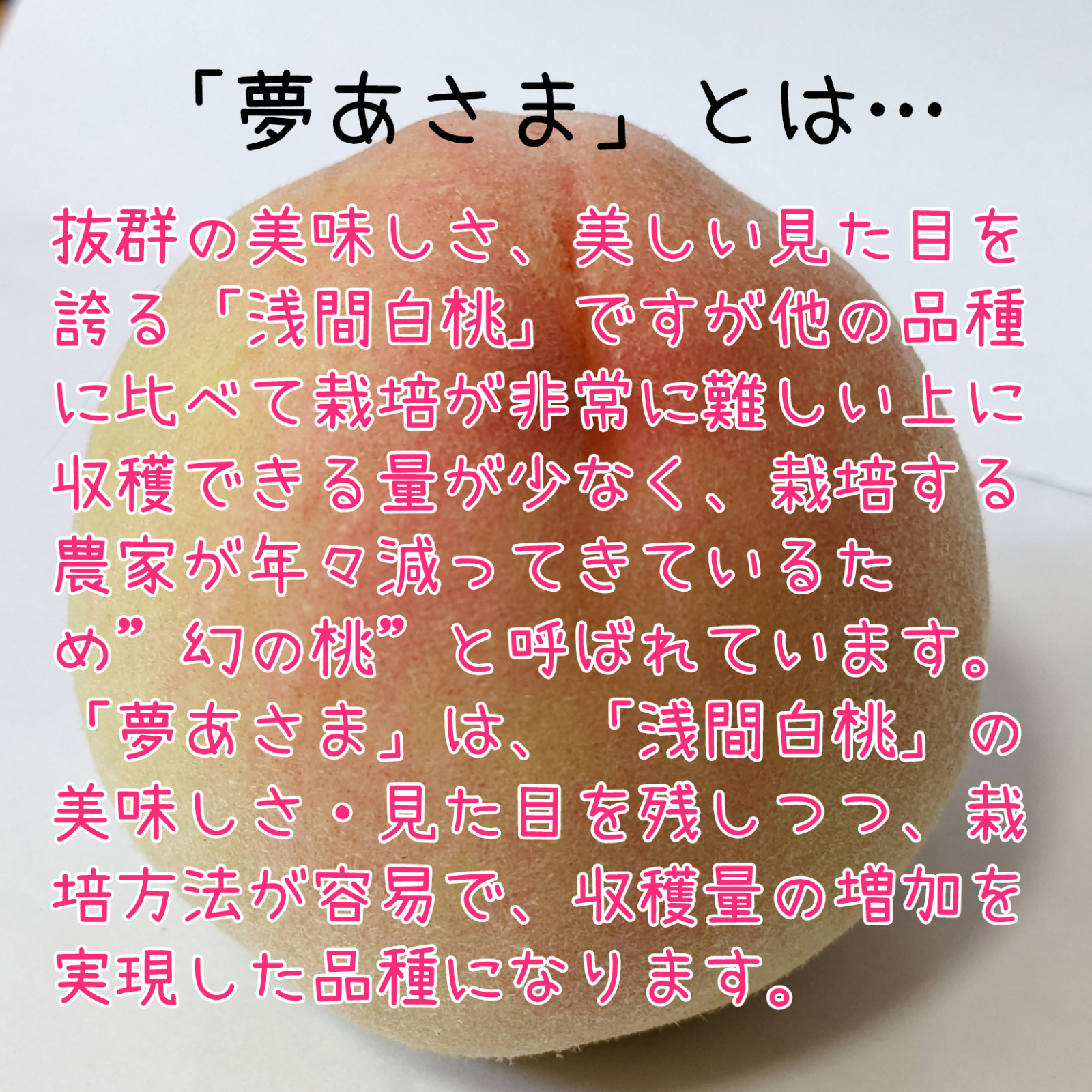 【秀品】香川県産 桃 品種個数おまかせ 8〜11個入 箱込み2kg 匿名配送 化粧箱入り 贈答用にもオススメ 夢あさま 浅間白桃