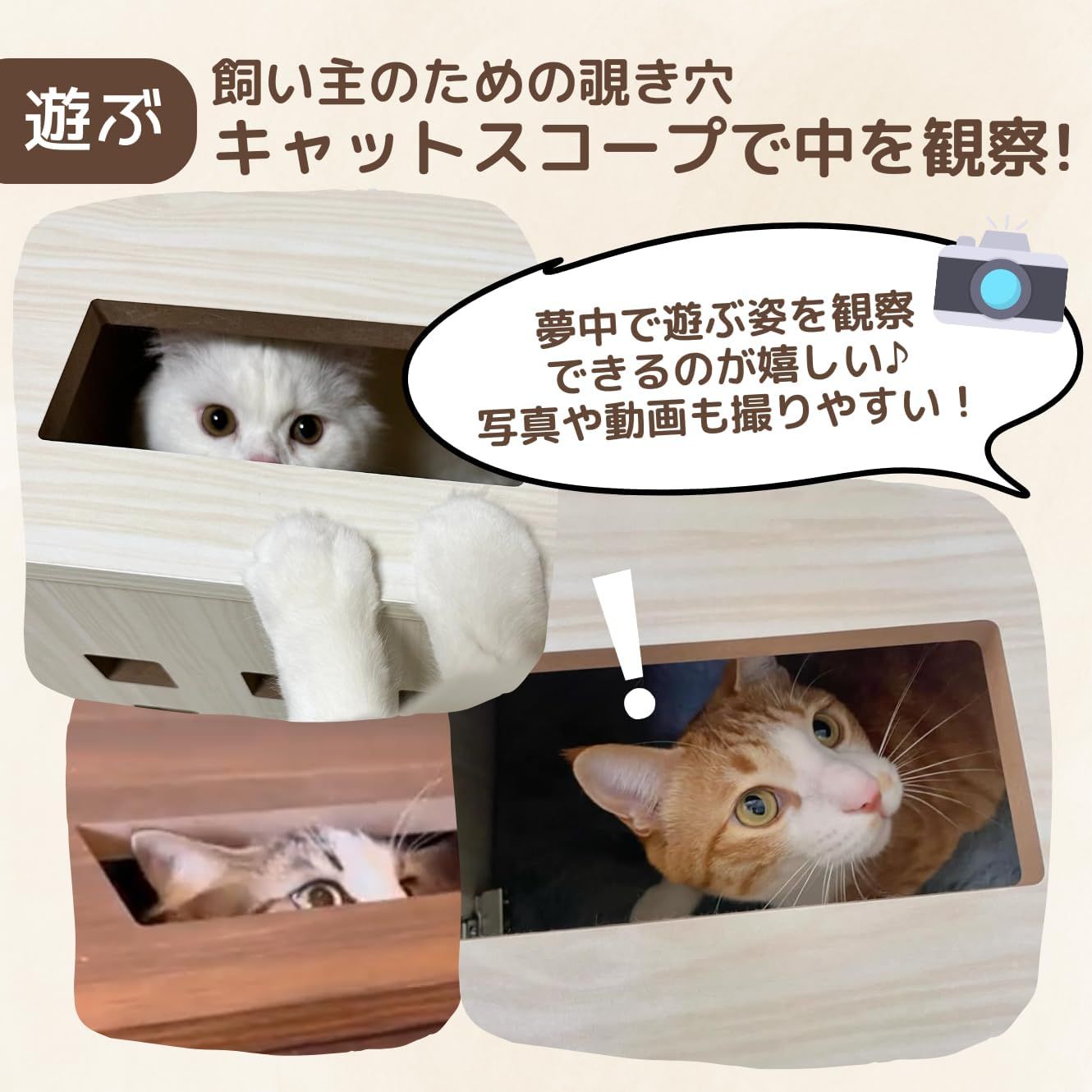 ieneko