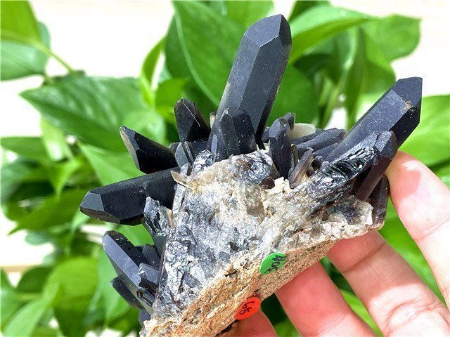 AAA級魔除け天然モリオン黒水晶クラスターYTHB86C6/136C20A AAA級魔除け天然モリオン黒水晶クラスターYTHB86C6/136C20A AAA
