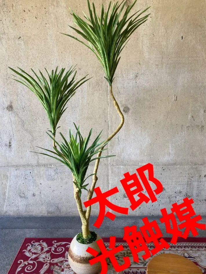 光触媒 人工観葉植物 ウォールグリーン フェイクグリーン コンシンネ