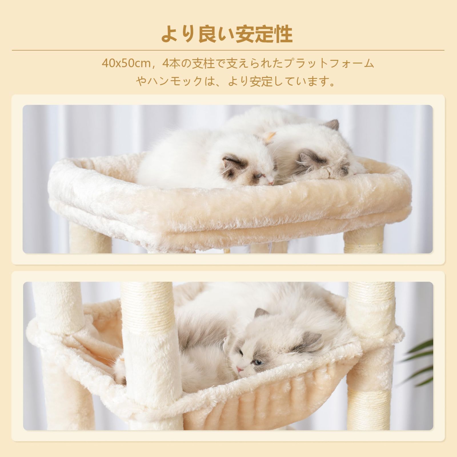 キャットハウス