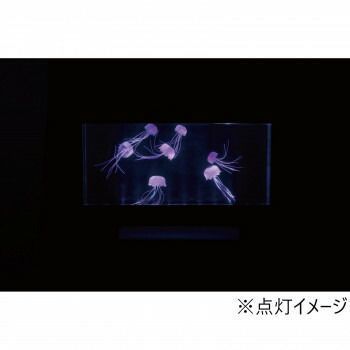 アクアリウムクラゲ ワイド