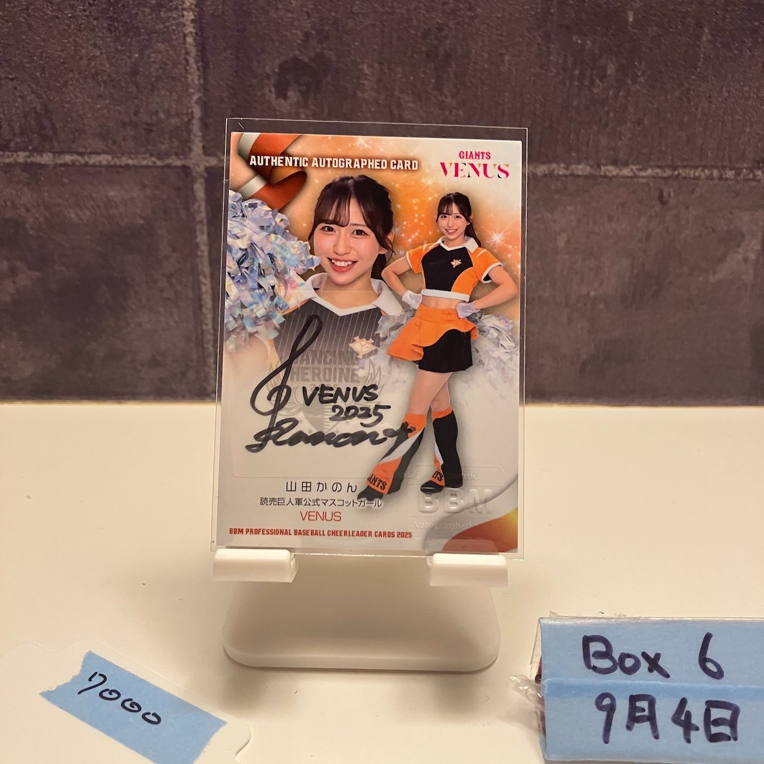 VENUS 2024 全員サイン色紙GIANTS VENUS 2024 全員サイン色紙GIANTS