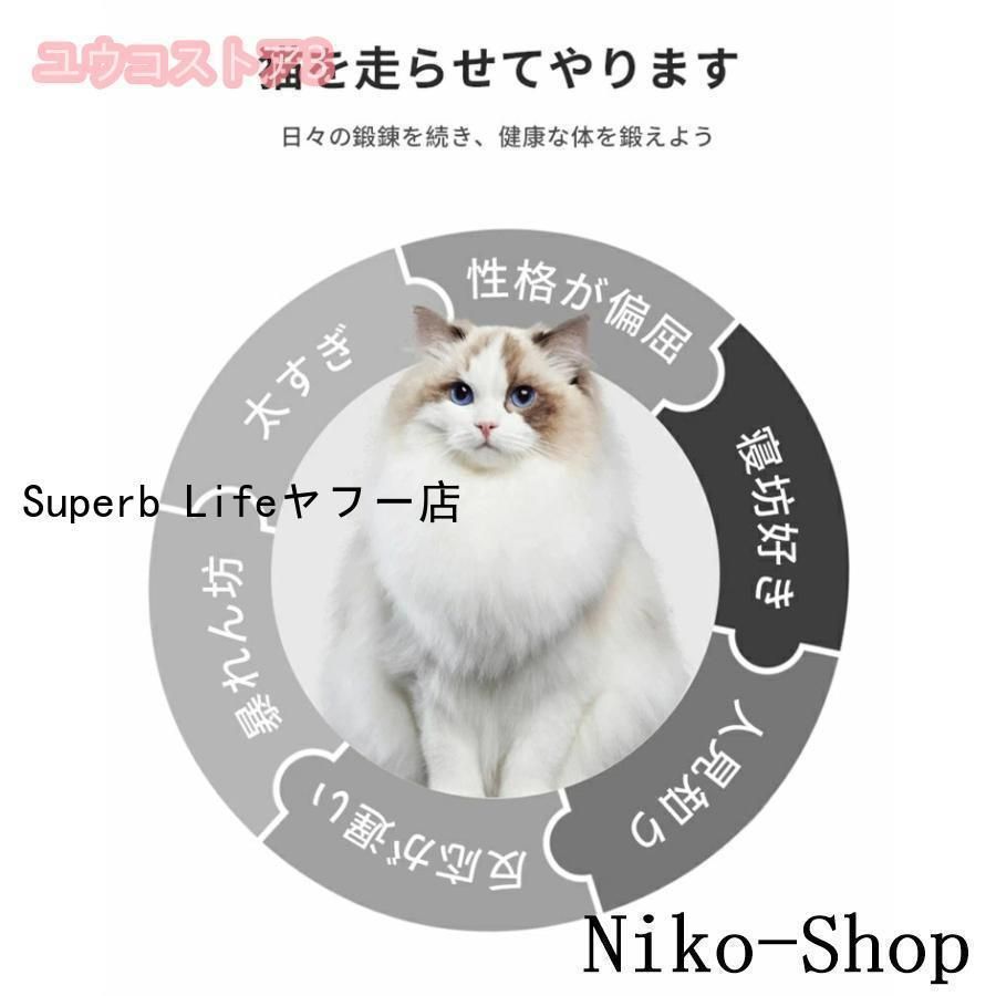 キャット運動 鍛錬