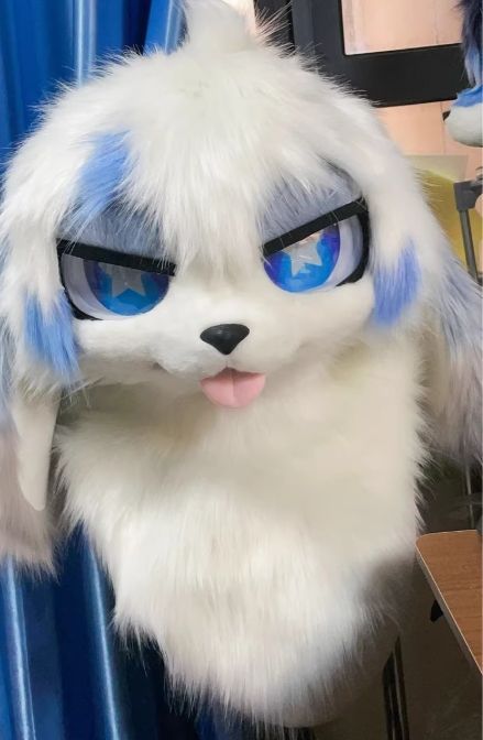 全身