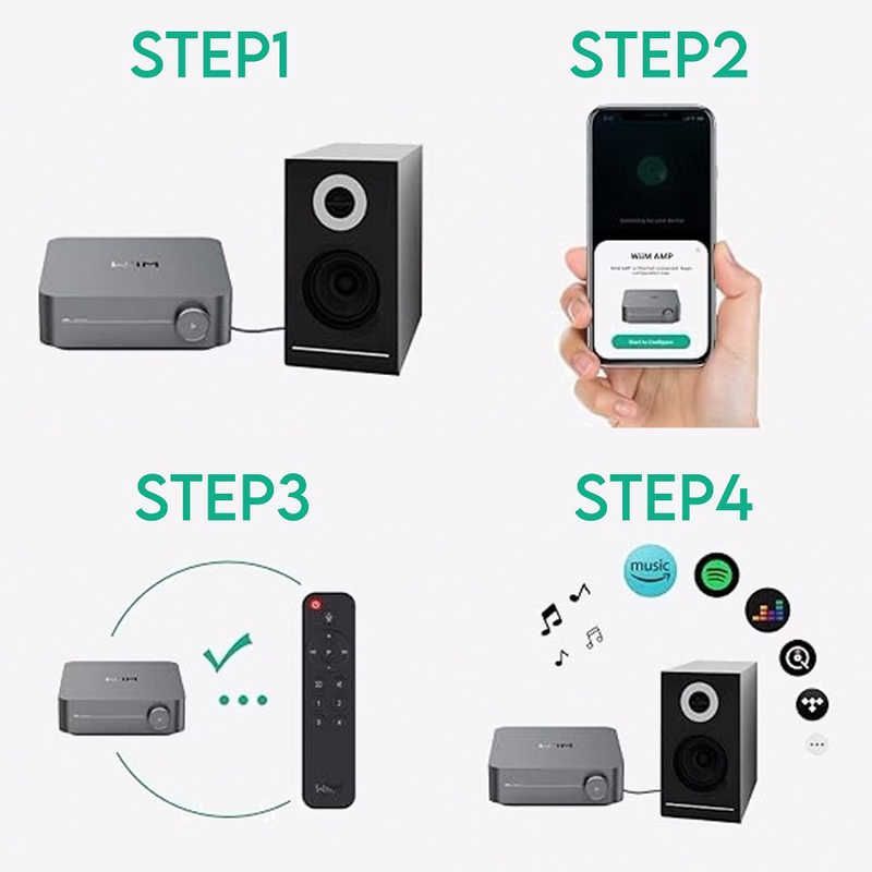 シルバー WIIMAMPSILVER