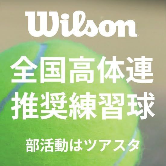 高体連推奨練習球 雨に強い