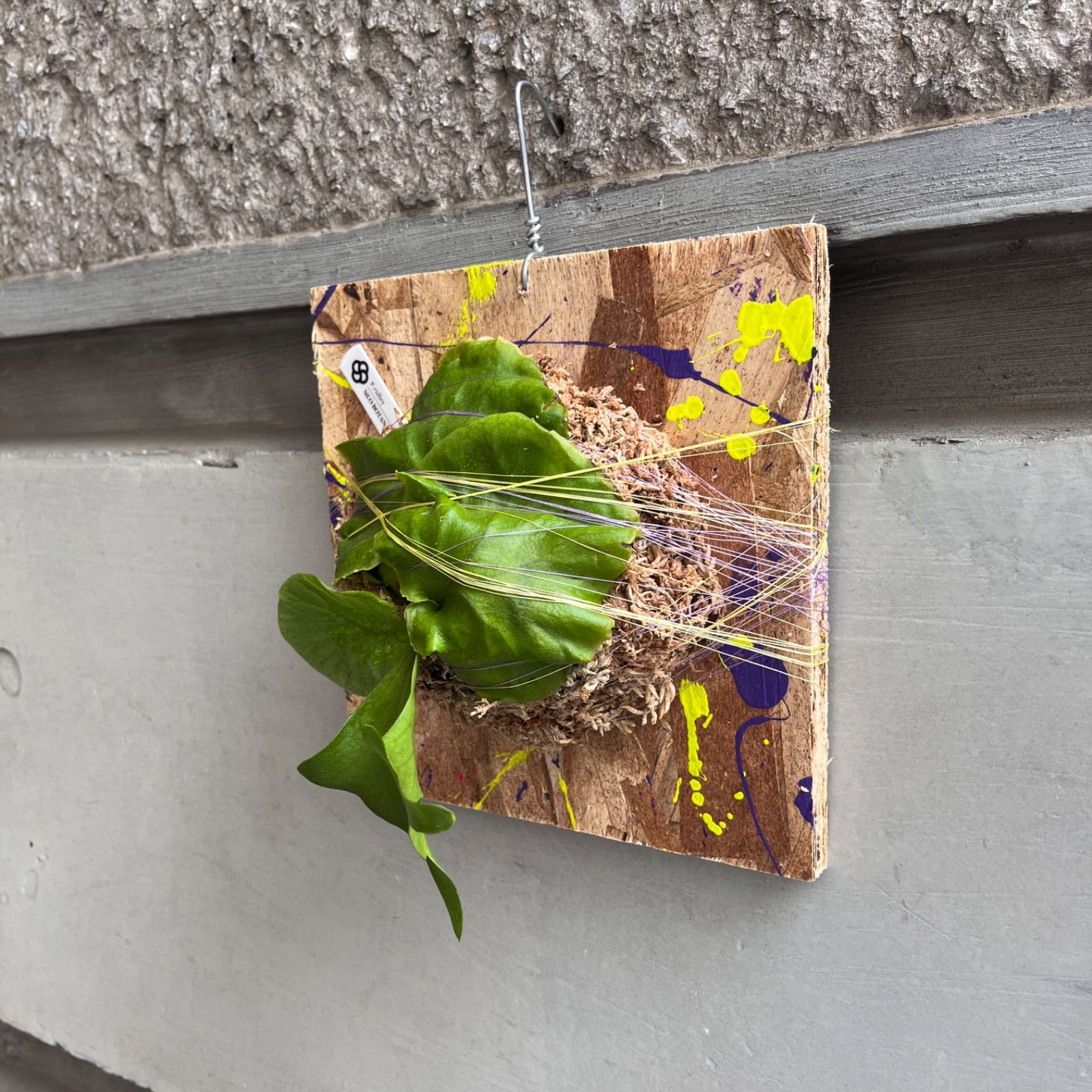 PaintBoard
