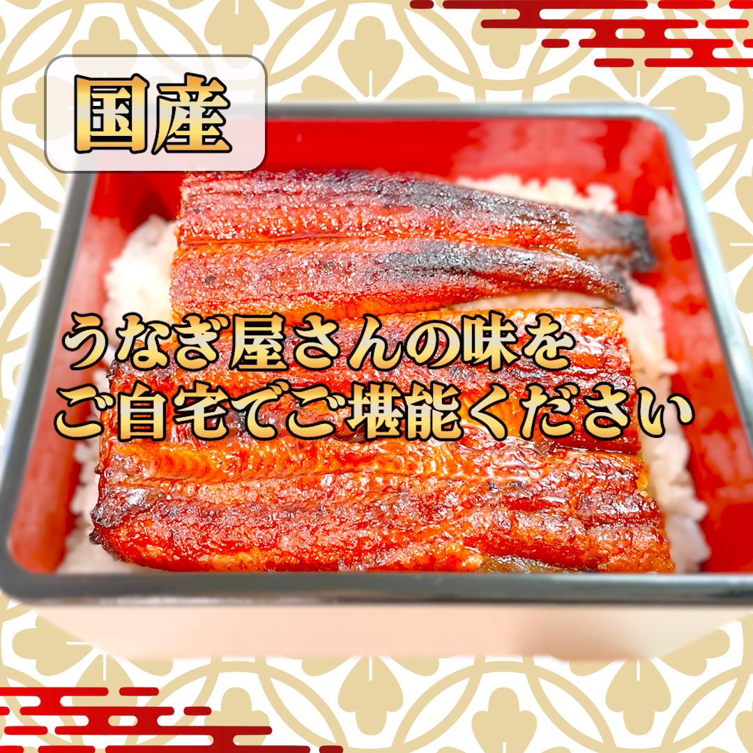 国産 鹿児島産うなぎ蒲焼き1kg