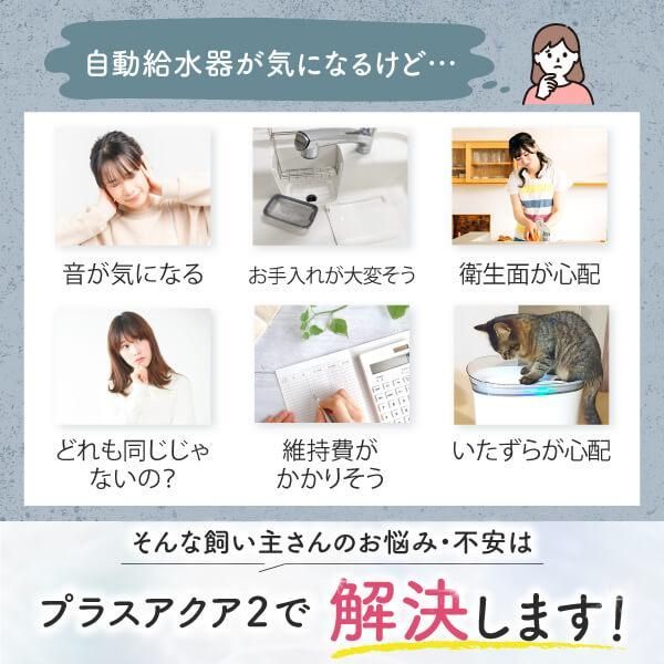 新登場 獣医師監修