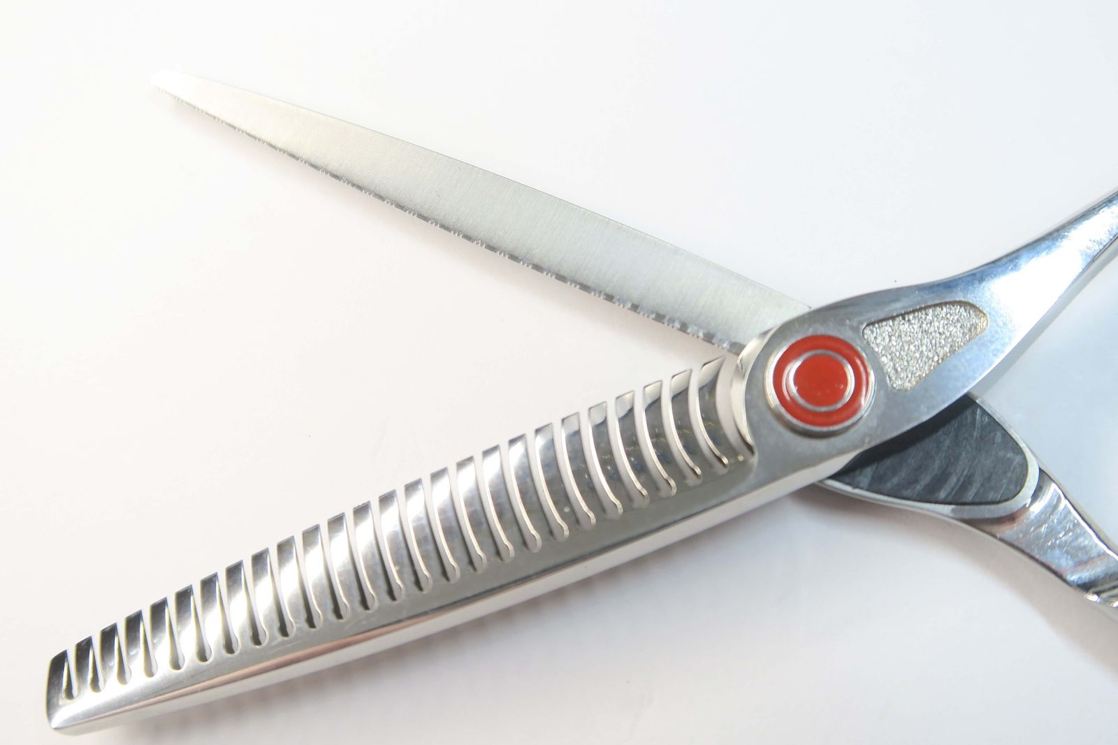 トギノンTOGINON サクセスダイナ6.０インチ セニング 約70% ダイナザウルス - TOGINON