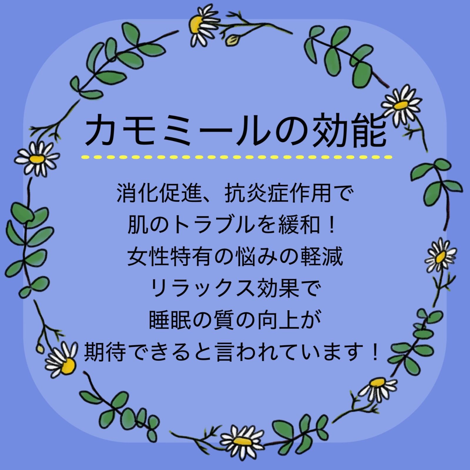 日本茶×〇〇】眠りに誘う癒しの味わい♪ほうじ茶カモミール 3g×20個
