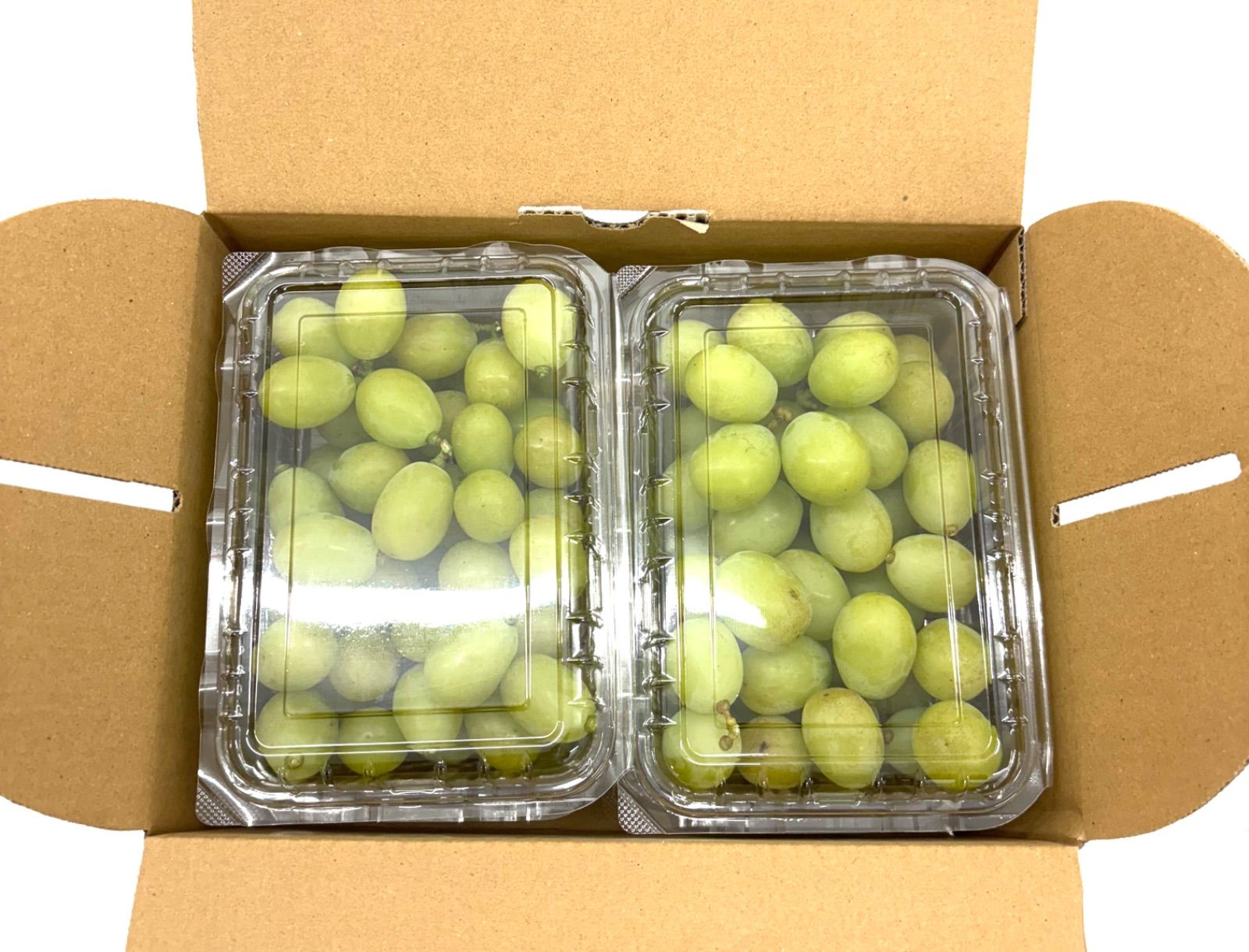 シャインマスカット箱別2kg〇クール便送料込み 7月23日または24日発送〇クール便送料込み〇とっても美味しい訳