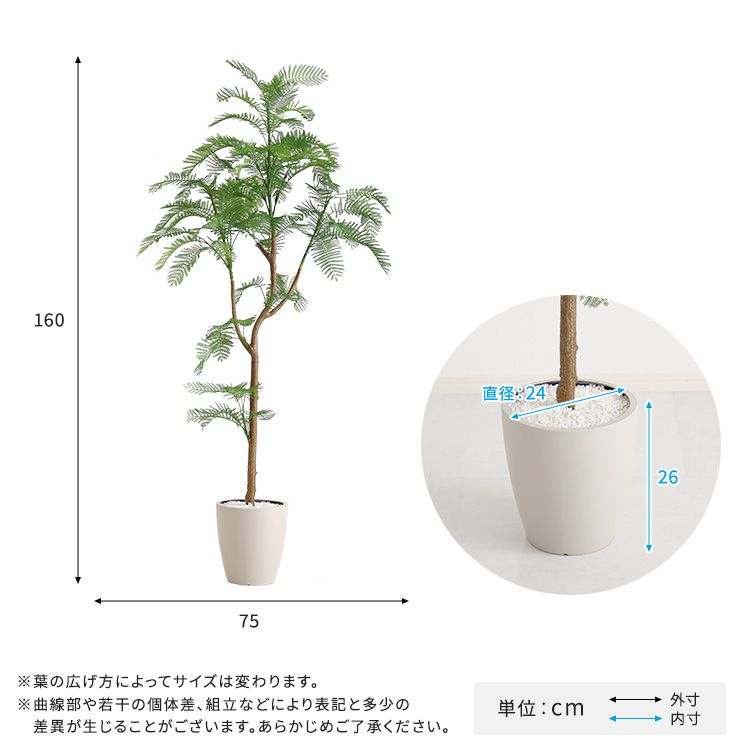 Mサイズ