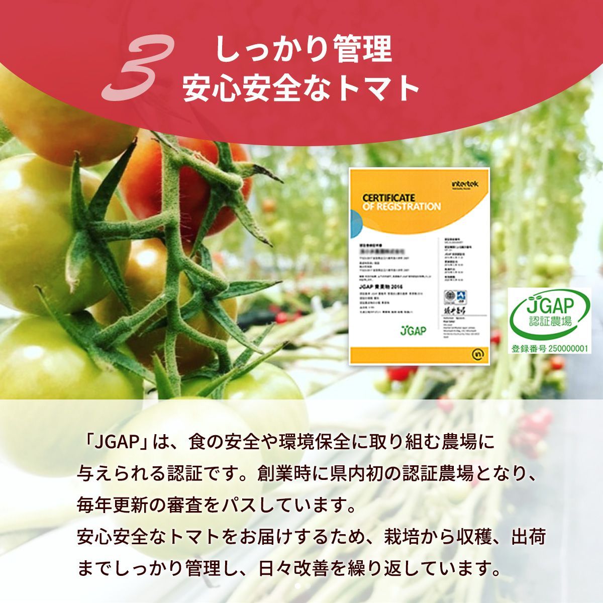 16㎏ 滋賀県