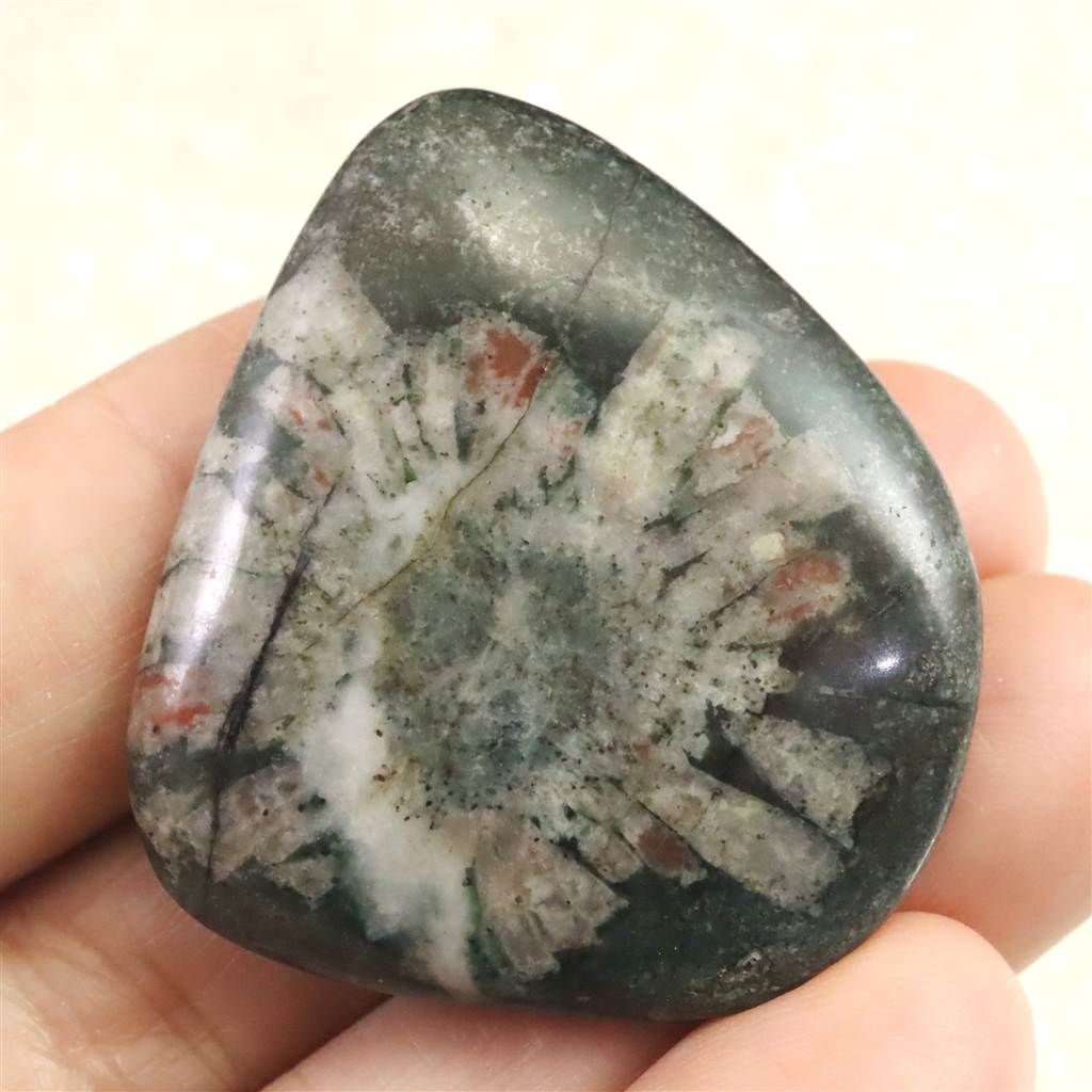 岐阜県根尾谷産 菊花石 14.8g 榎本通商21102
