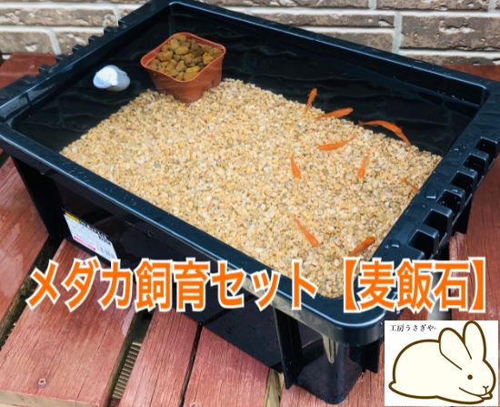 麦飯石6キロ付き メダカ飼育ケース【トロ舟４０リットル】 - アクアリウム