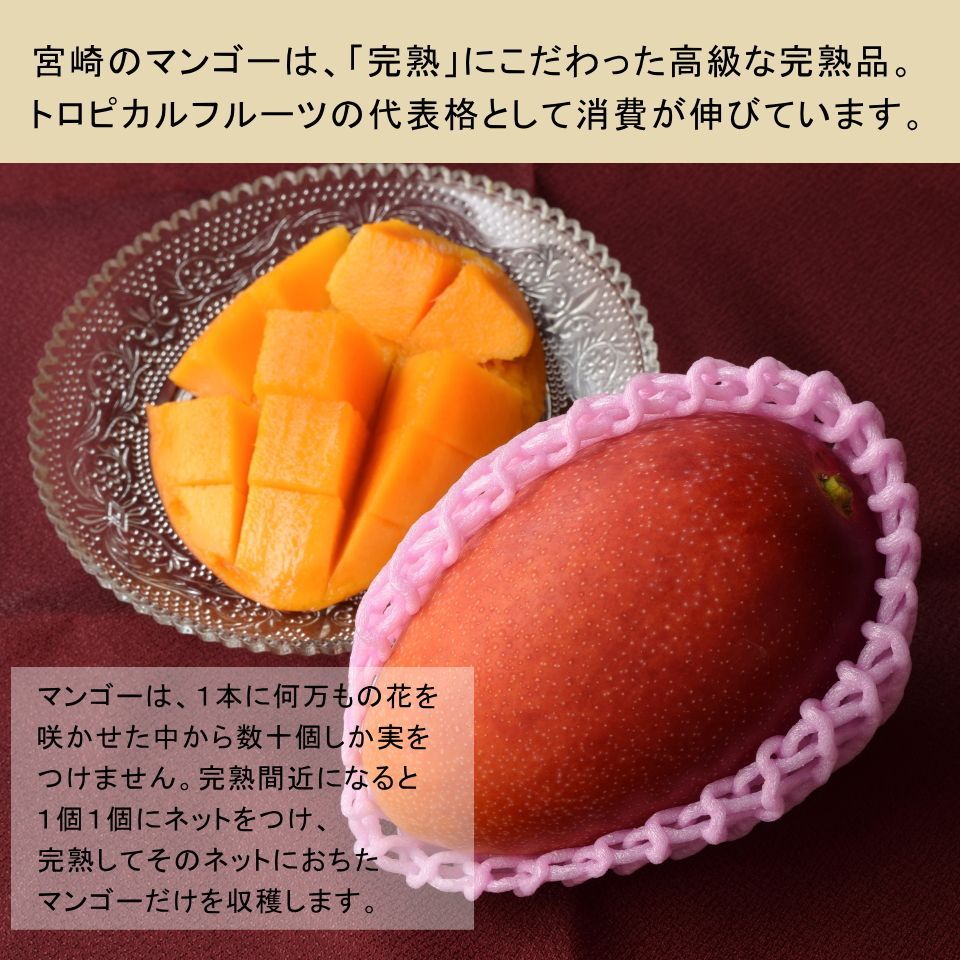 ギフト