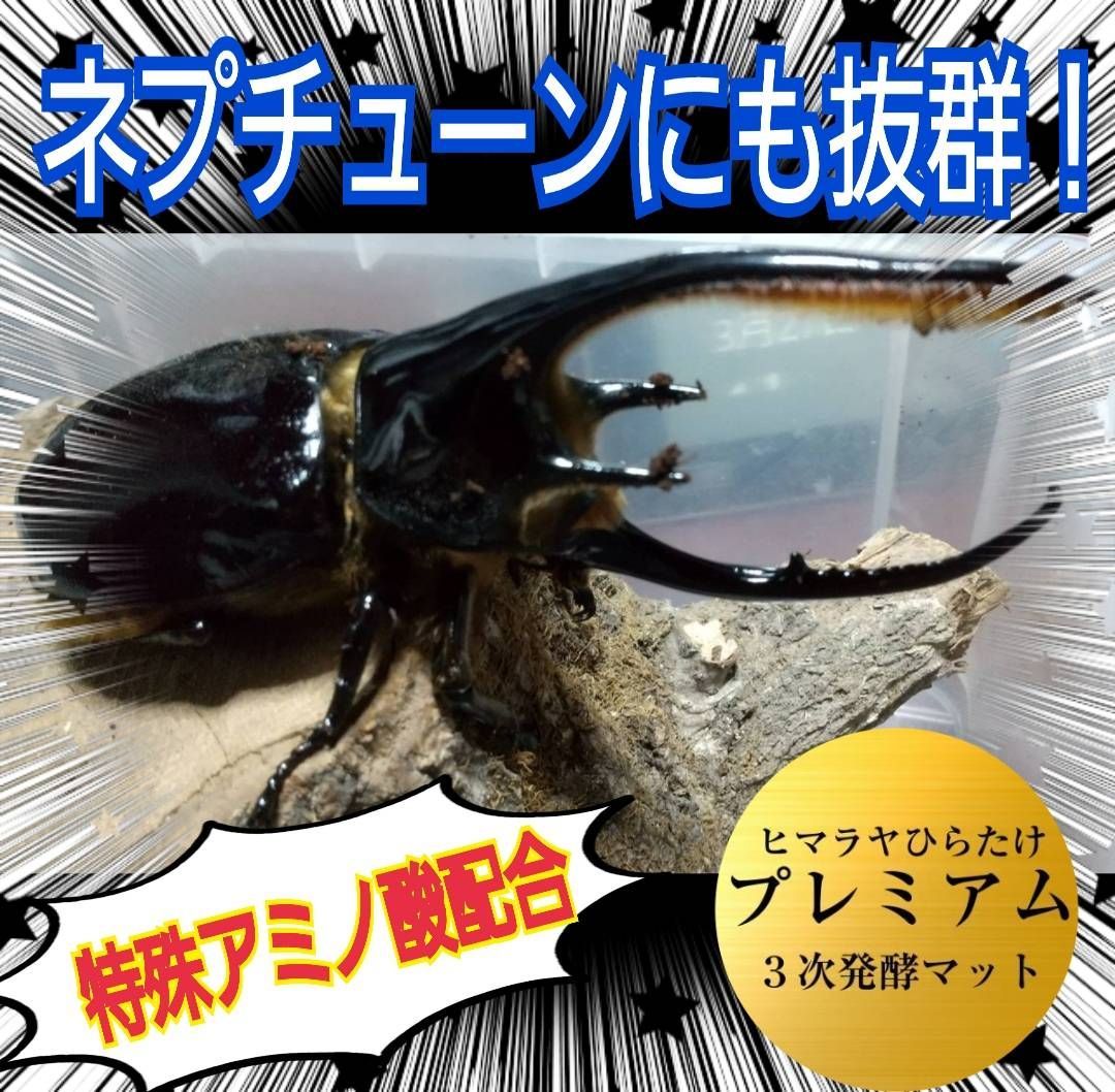 外国産カブトムシ幼虫に抜群！プレミアム3次発酵マット5袋特殊