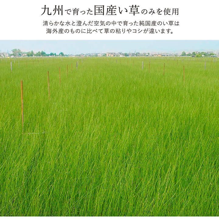 カーペット
