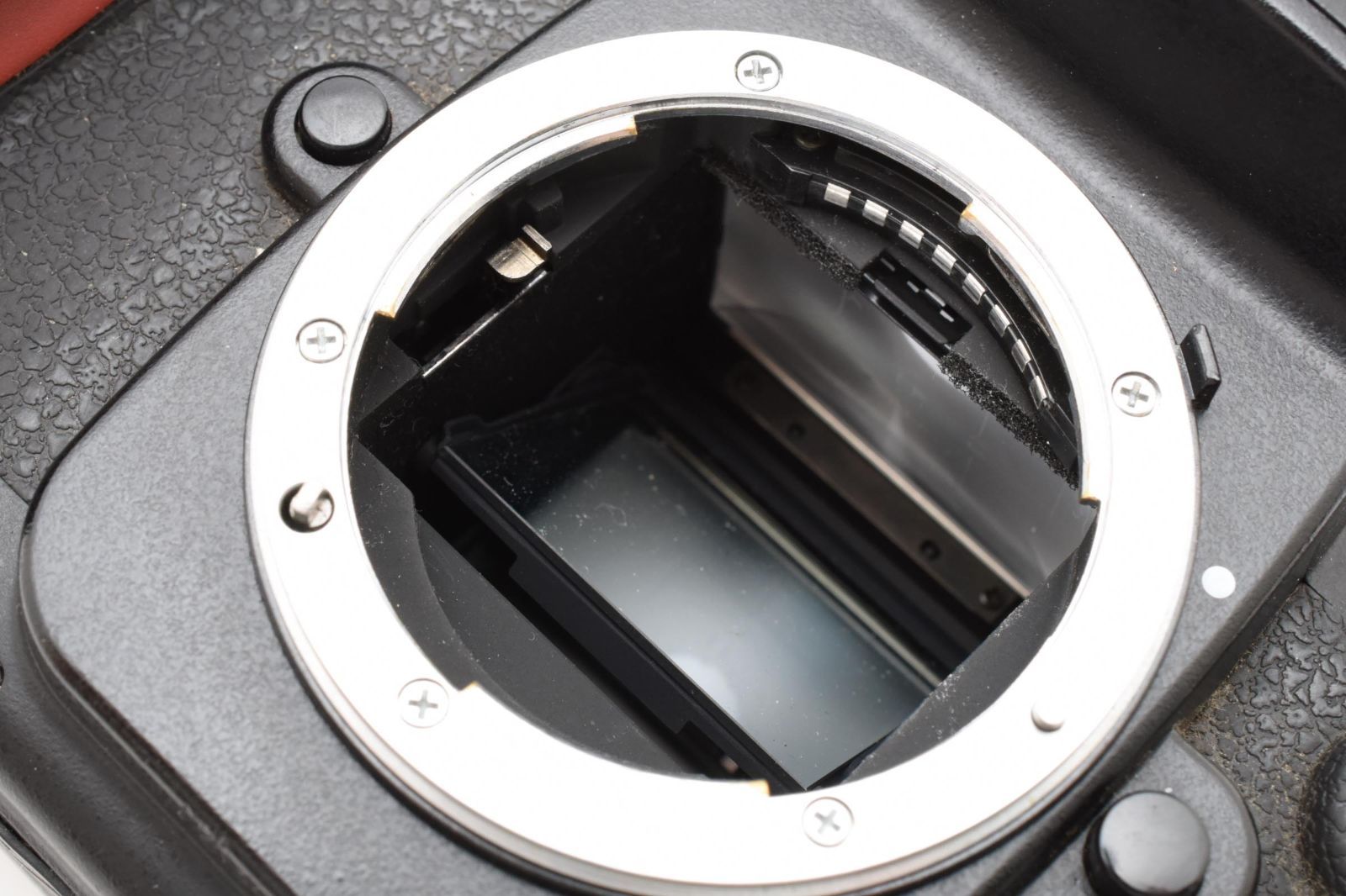 通電シャッター確認済 Nikon F100 フィルム一眼レフカメラ 初心者向け全自動フィルム一眼】Nikon F100を解説 - YouTube