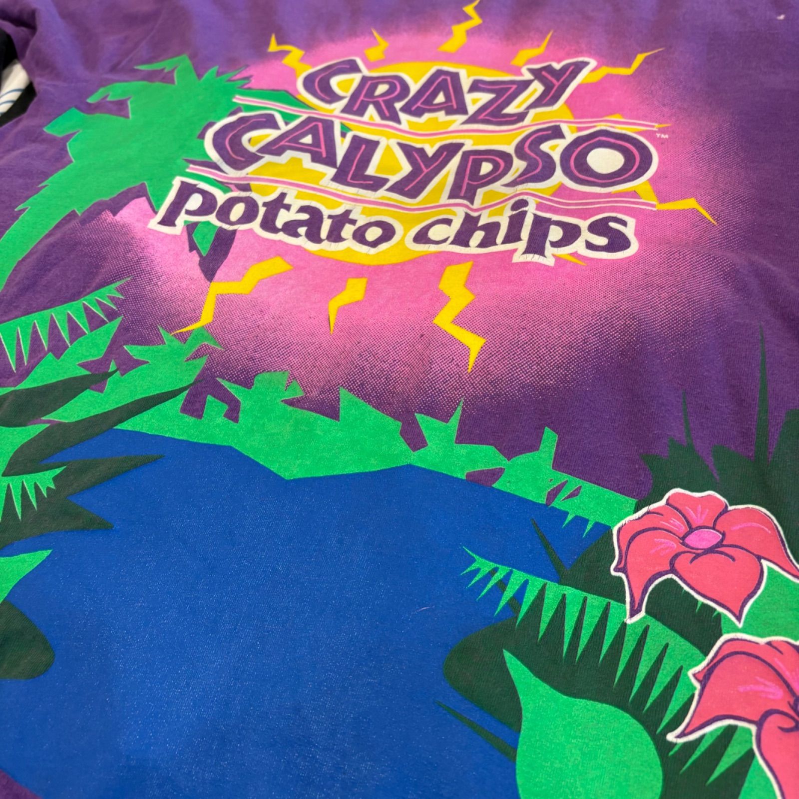 90's Crazy Calypso Potato Chips プリントTシャツ 紫 A3849