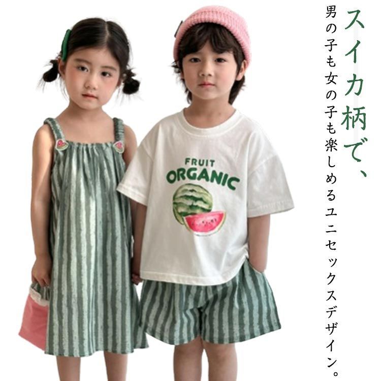 【中古】 自民党の智恵 日本政策アカデミー「シンクタンク２００５・日本」非/成甲書房/シンクタンク２００５・日本 自民党の智恵 (日本政策アカデミー「シンクタンク2005・日本」非