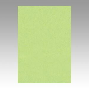 リンテック ニュー Ｒ 8 NCR 243 わかくさ