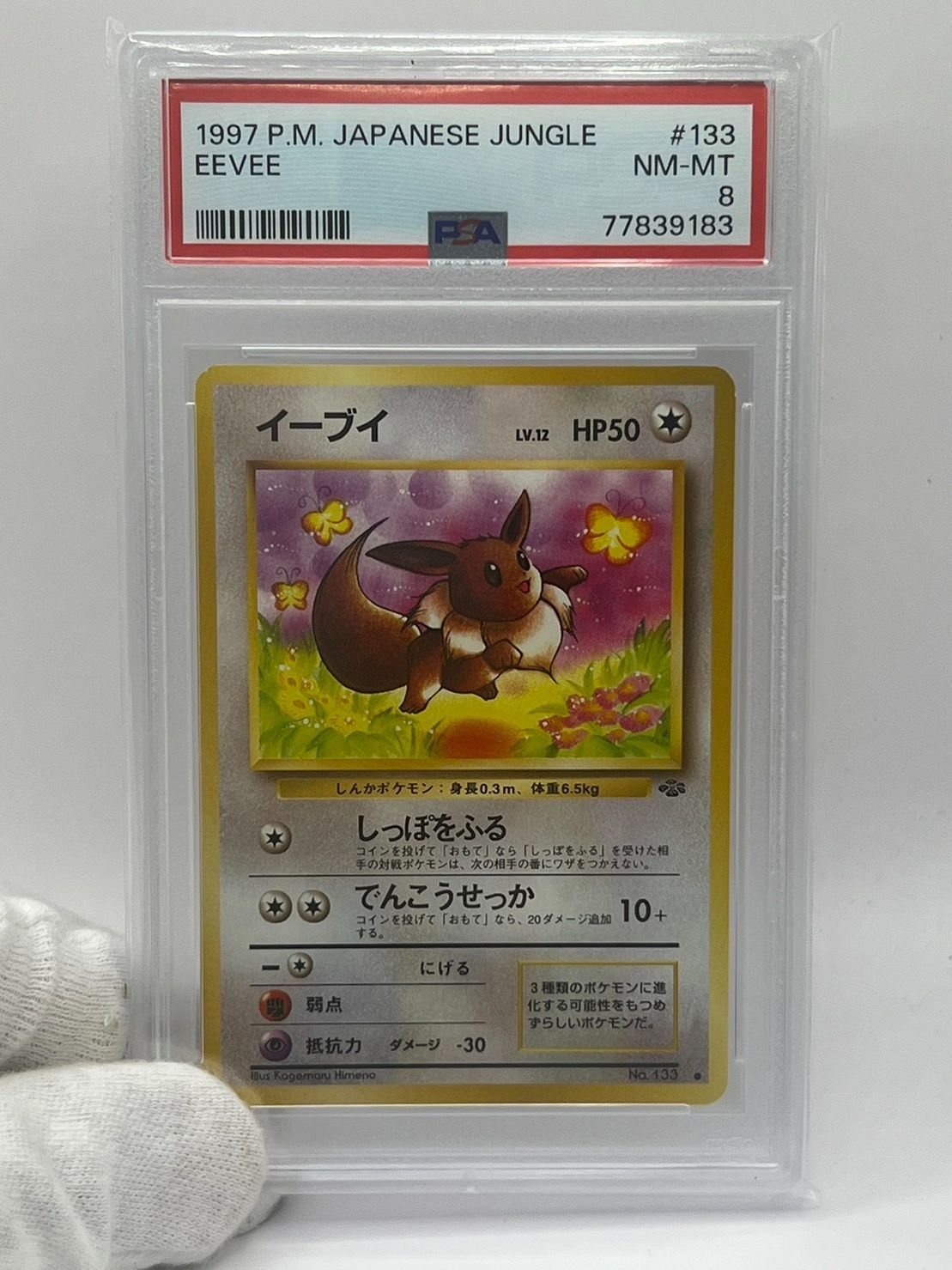 イーブイ ● 第2弾拡張パック ポケモンジャングル PSA8 PSA8 イーブイ 第2弾 拡張パック ポケモンジャングル No.133 JPN