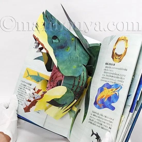 飛び出す絵本 しかけ絵本 海の古代生物 図鑑 立体 大日本絵画