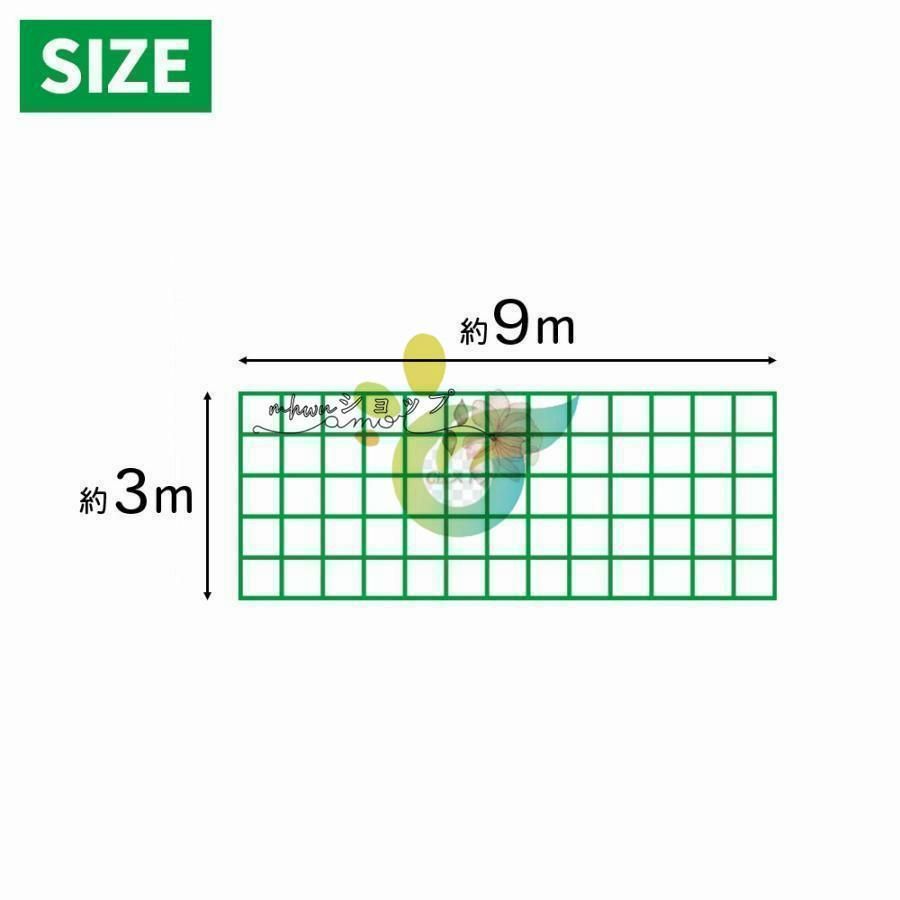 2つ 3m×9m
