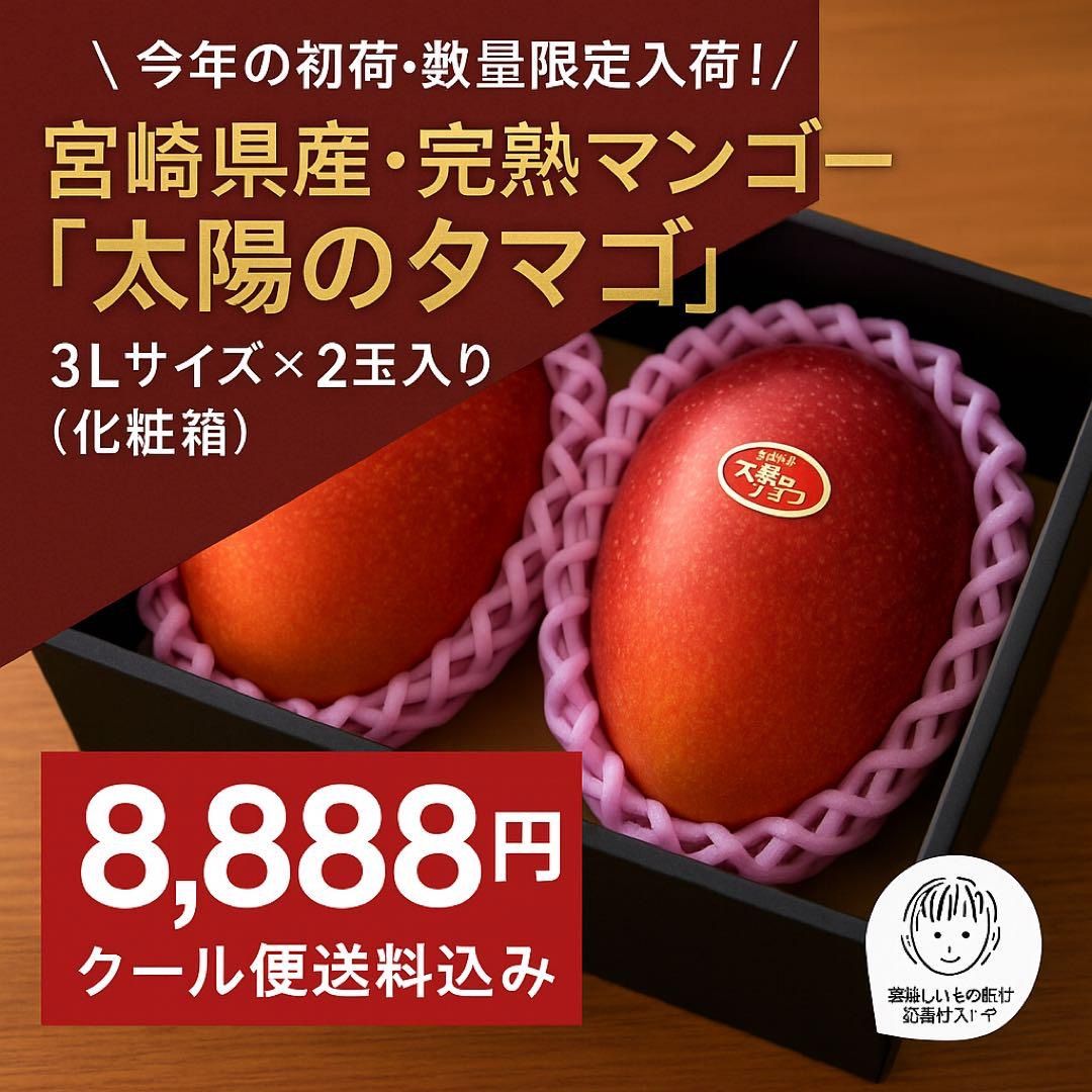 【数量限定】太陽のタマゴ（3L×2玉）宮崎マンゴー 初荷／クール便込 数量限定】太陽のタマゴ（3L×2玉）宮崎マンゴー 初荷／クール便込