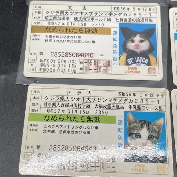 懐かしのなめ猫の免許証です。（未使用） Amazon.co.jp: ネオ昭和 なめ猫 免許証 初期モノ 特攻 昭和デス