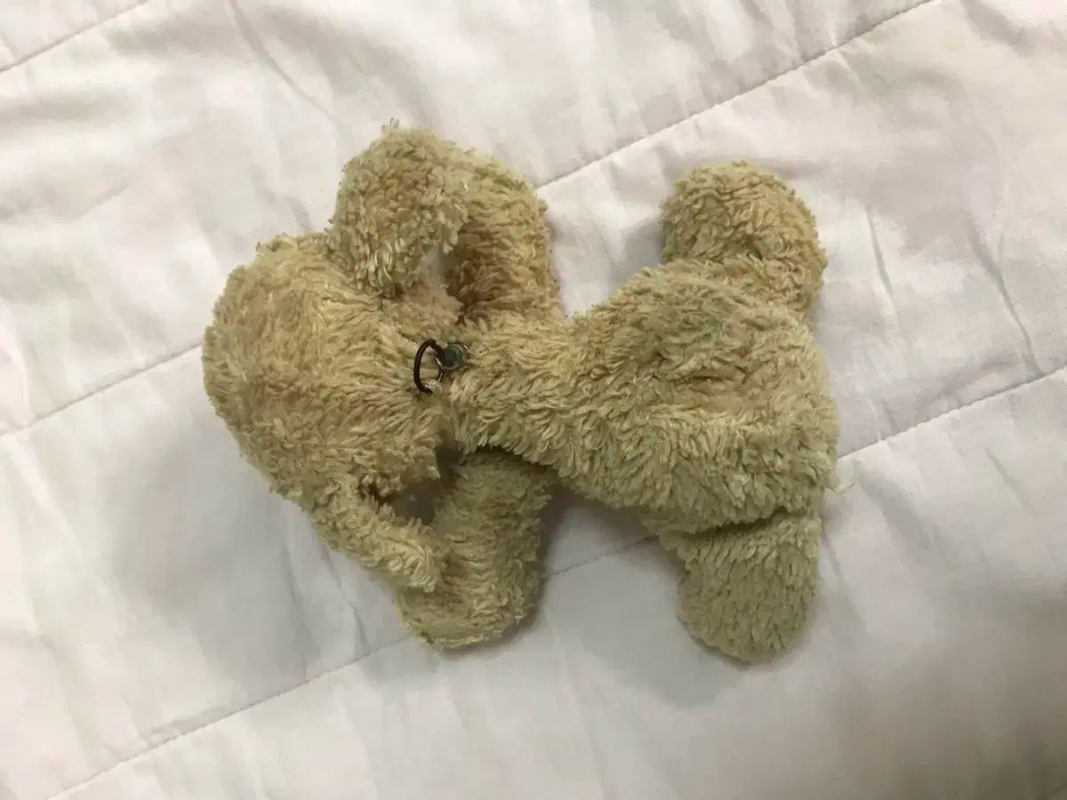 飛ぶ 子犬